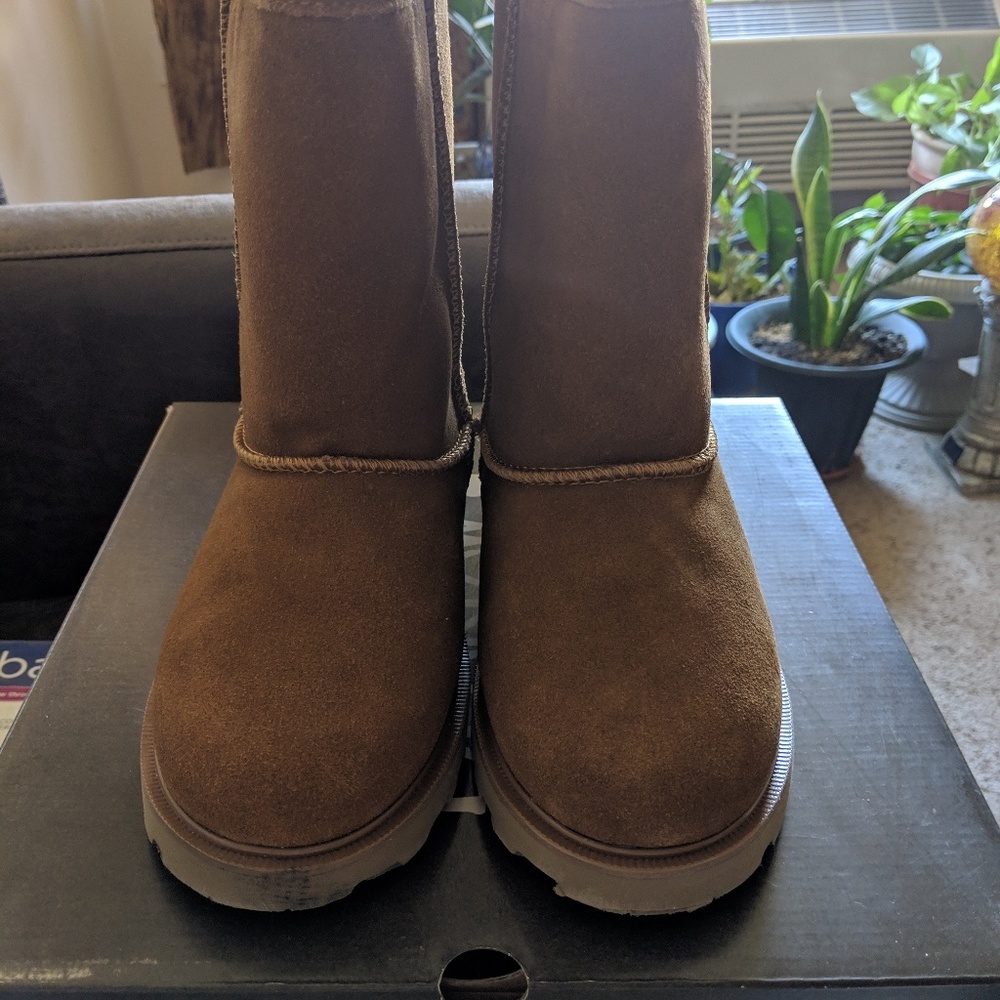 Bearpaw